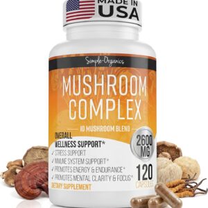 10 Mushroom Brain Supplement for Memory and Focus 2600mg | Energy and Immune Support | Cordyceps, Reishi, Lion’s Mane, Chaga, Turkey Tail, Maitake, Shiitake, Enoki, Agaricus, & Oyster