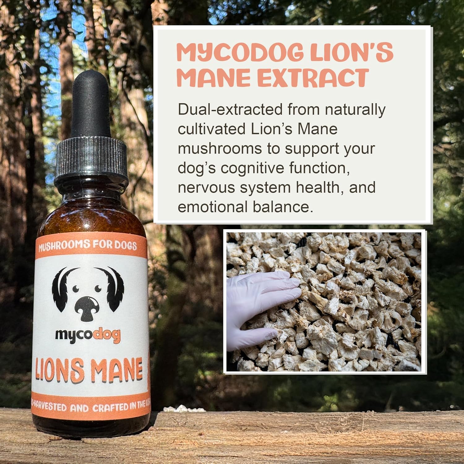 MycoDog Lions Mane Mushroom Supplement for Dogs - Cognitive & Brain Health - Lions Mane for Dogs - Senior Dog Wellness Drops - Image 3