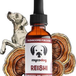 MycoDog REISHI Mushroom Supplement for Dogs - Immune & Stress Support - Natural Longevity & Wellness Drops