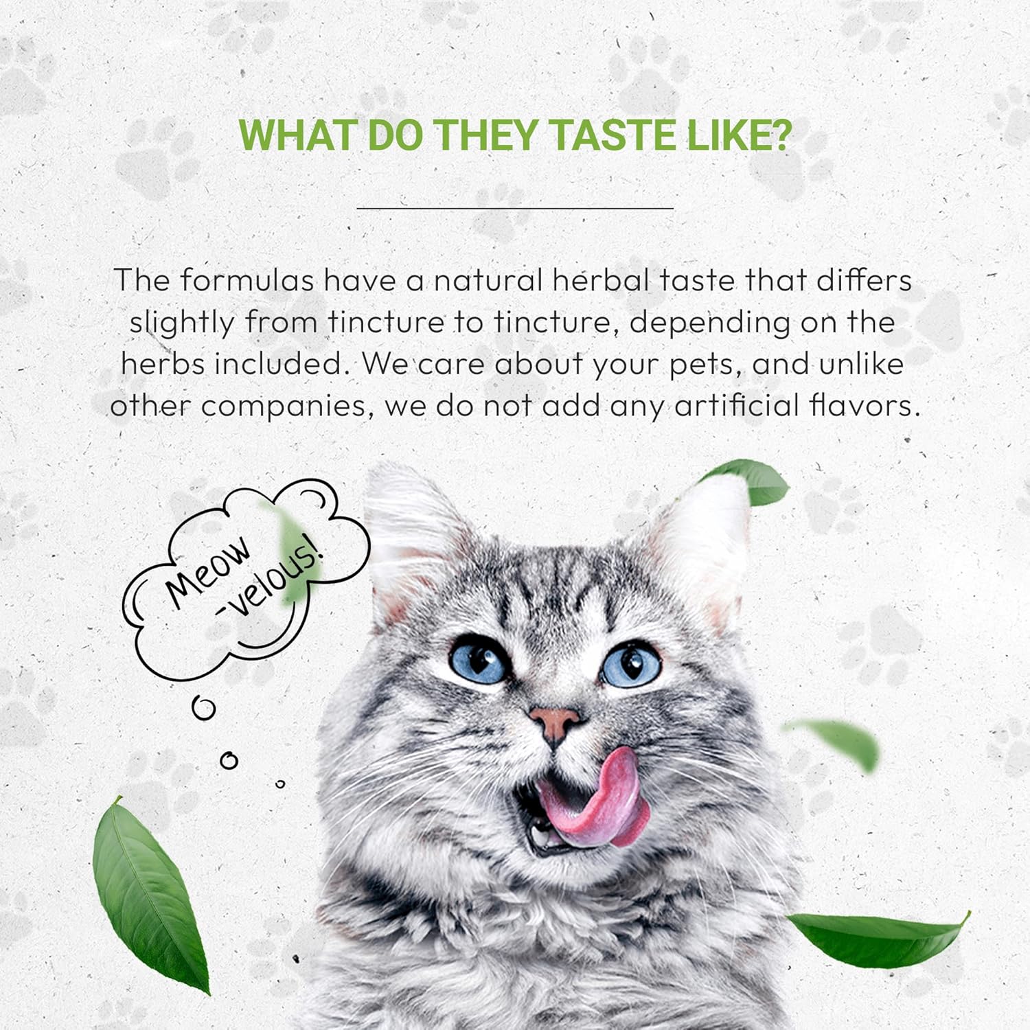 Lion's Anxiety | Natural Herbal Dietary Supplement for Cats | Support Stress Relief in Cats | Alcohol-Free Extract, Chamomile, Lemon Balm, Lavender, Linden, Fennel 2 oz - Image 4
