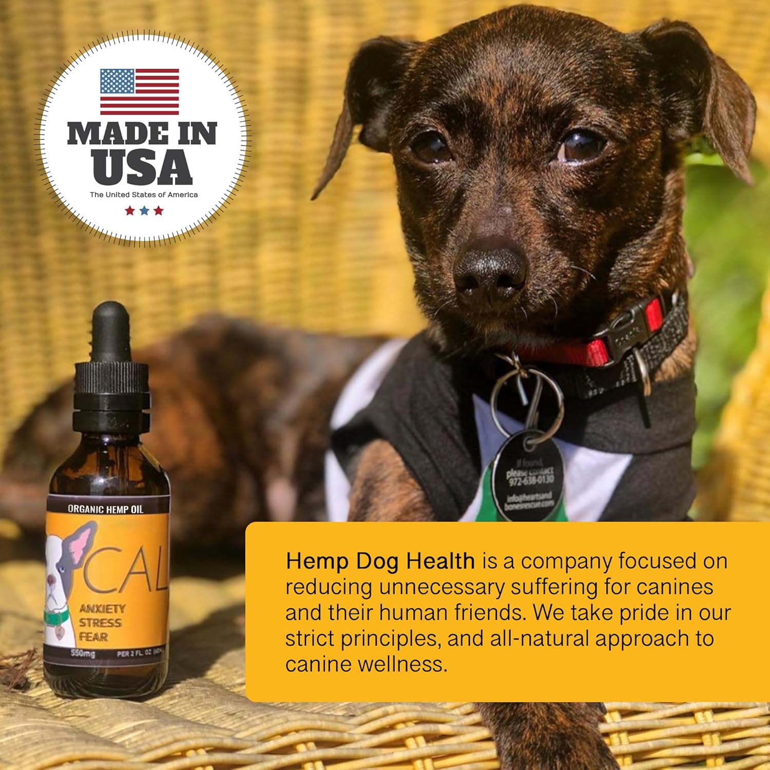 Calm & Clarity Cognitive Support Bundle: Calm Hemp Oil for Dogs (Dog Calming Drops) | MycoDog Clarity Mushroom Extract & Adaptogen Tincture for Emotional, and Mental Wellness - Image 9
