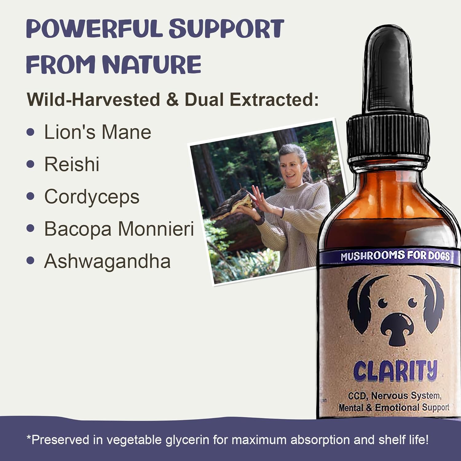 MycoDog Clarity - Cognitive Support Mushroom Supplement for Dogs - Brain Health, Memory & Focus Support with Adaptogens for Aging Dogs - Image 4