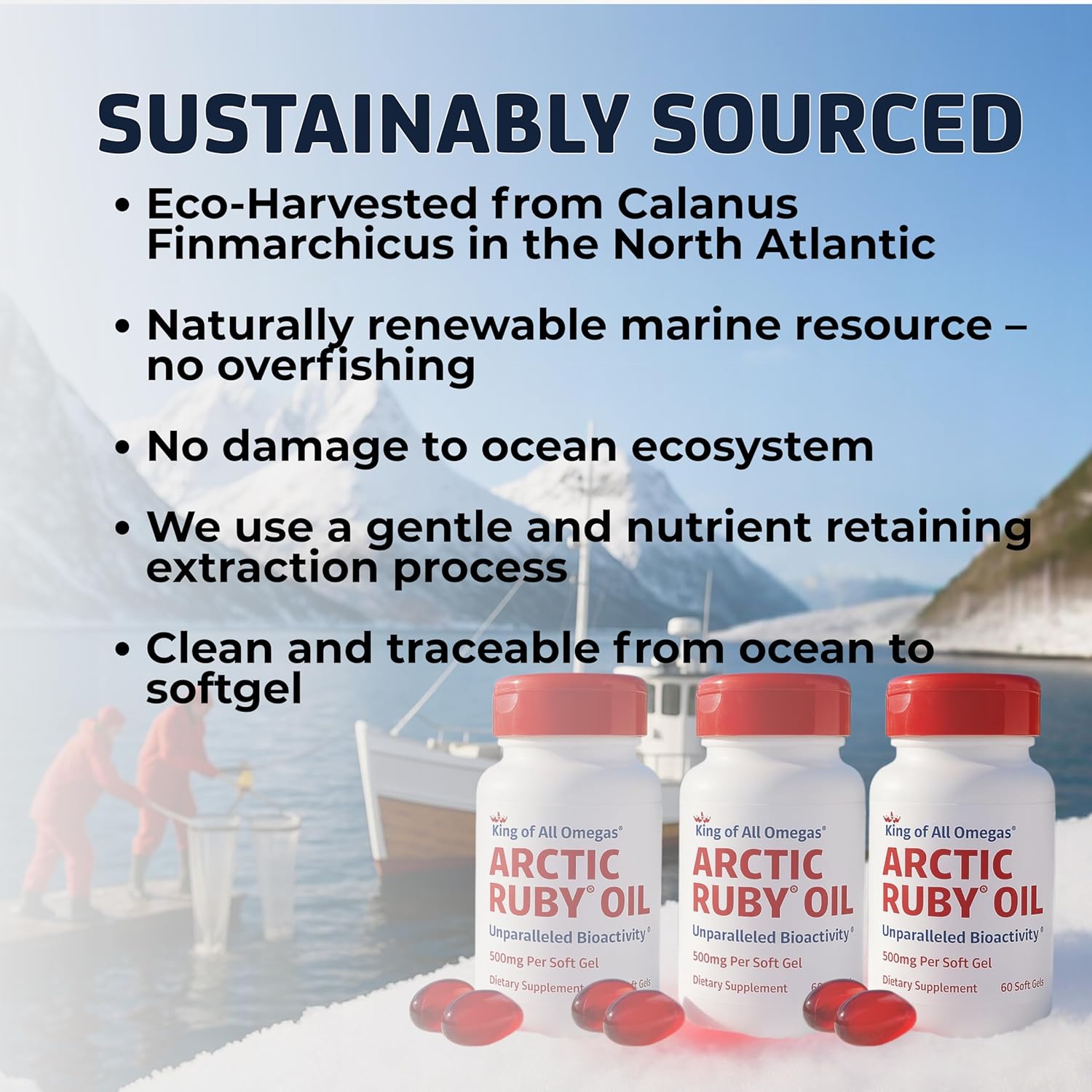 Arctic Ruby Oil - Omega 3 Supplement with Astaxanthin 2mg - Contains Essential Fatty Acids & Antioxidants - Supports Heart, Brain, Eye, Skin, Joint & Immune Health - 60 Softgels (3 Pack) - Image 9