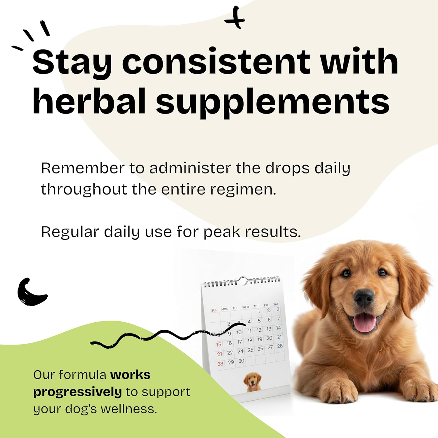 Forever Puppy Dog Calming Drops - Natural Stress & Separation Support - Avena Sativa Oat Extract for Barking, Fireworks & Travel - Brain & Nervous System Wellness - 2 fl oz - Image 6