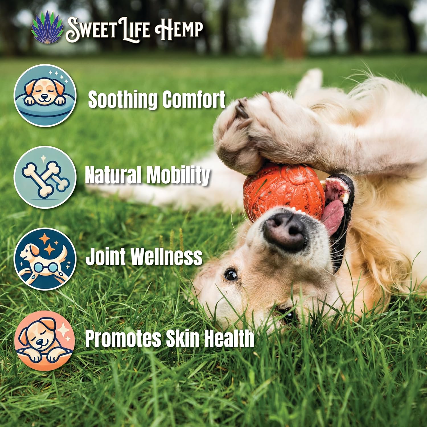 Sweet Paws Hemp Oil for Medium Sized Pets | Helps Dogs and Cats with Anxiety, Pain, Stress, Sleep, Arthritis & Seizures Relief | Roasted Chicken Flavored | 330mg - Image 4