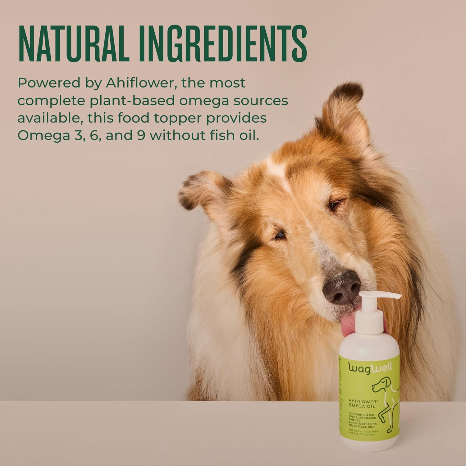 WagWell Ahiflower Omega Oil for Dogs | Vet-Formulated Health Supplement for Joints, Skin, Coat | Plant-Based Omega 3-6-9 Food Topper | for Dogs of All Ages & Sizes, All Natural, Made in USA | 8 fl oz - Image 3