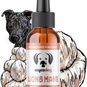 MycoDog Lions Mane Mushroom Supplement for Dogs - Cognitive & Brain Health - Lions Mane for Dogs - Senior Dog Wellness Drops