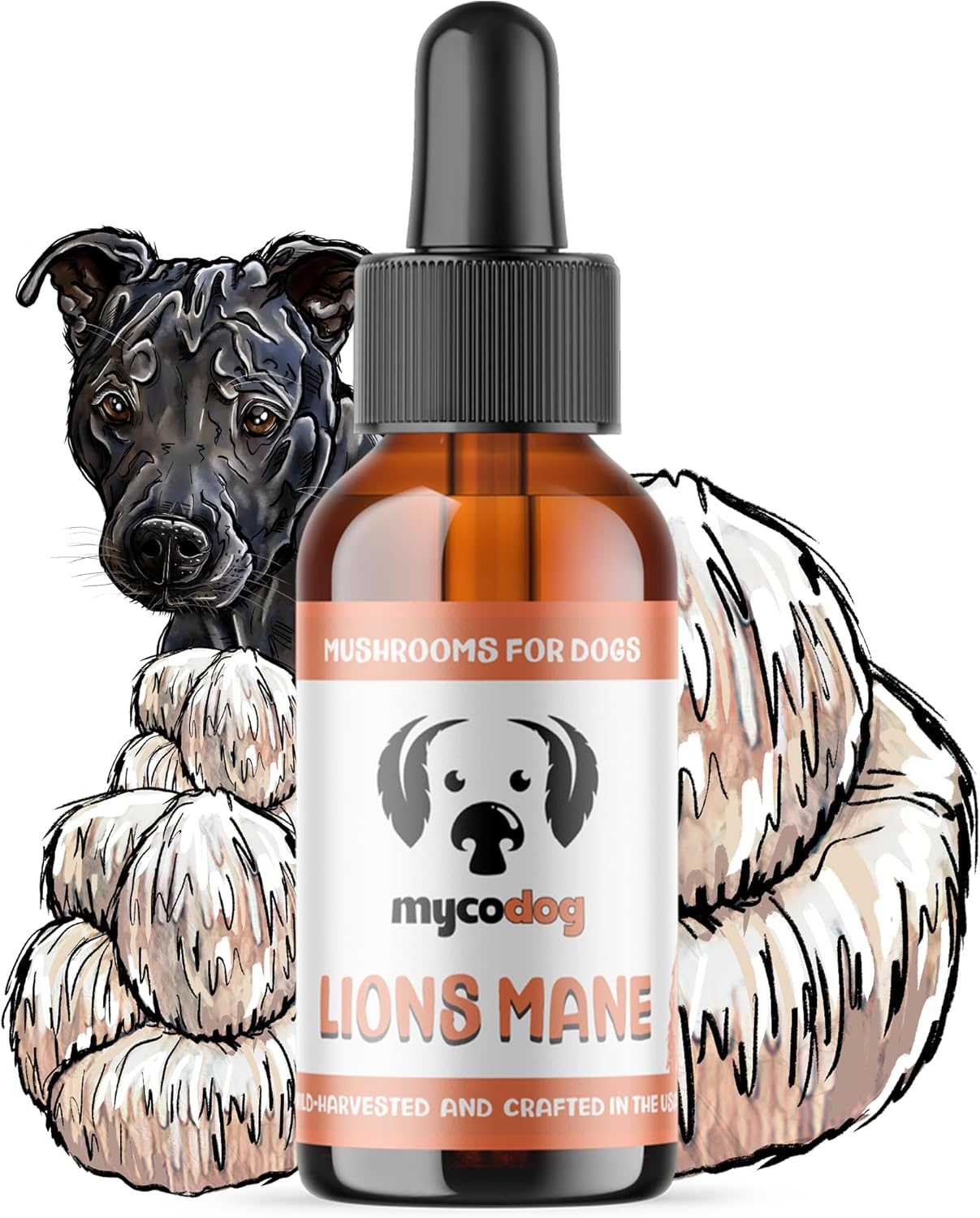 MycoDog Lions Mane Mushroom Supplement for Dogs - Cognitive & Brain Health - Lions Mane for Dogs - Senior Dog Wellness Drops