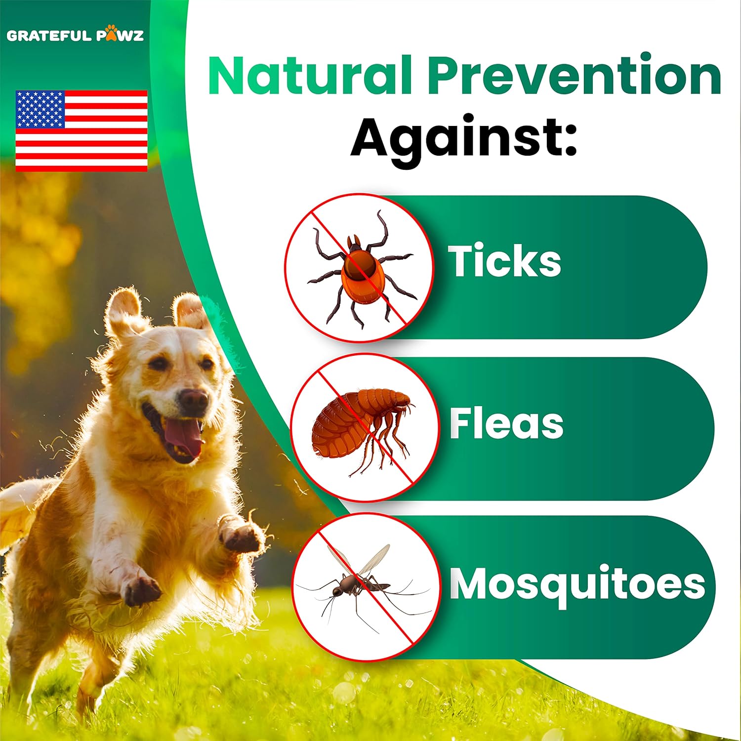 Flea and Tick Prevention for Dogs Chewables - Made in USA - Natural Flea and Tick Chews Supplement - Oral Pills for Dogs - Pest Defense - All Breeds and Ages - 120 Soft Tablets - Image 2