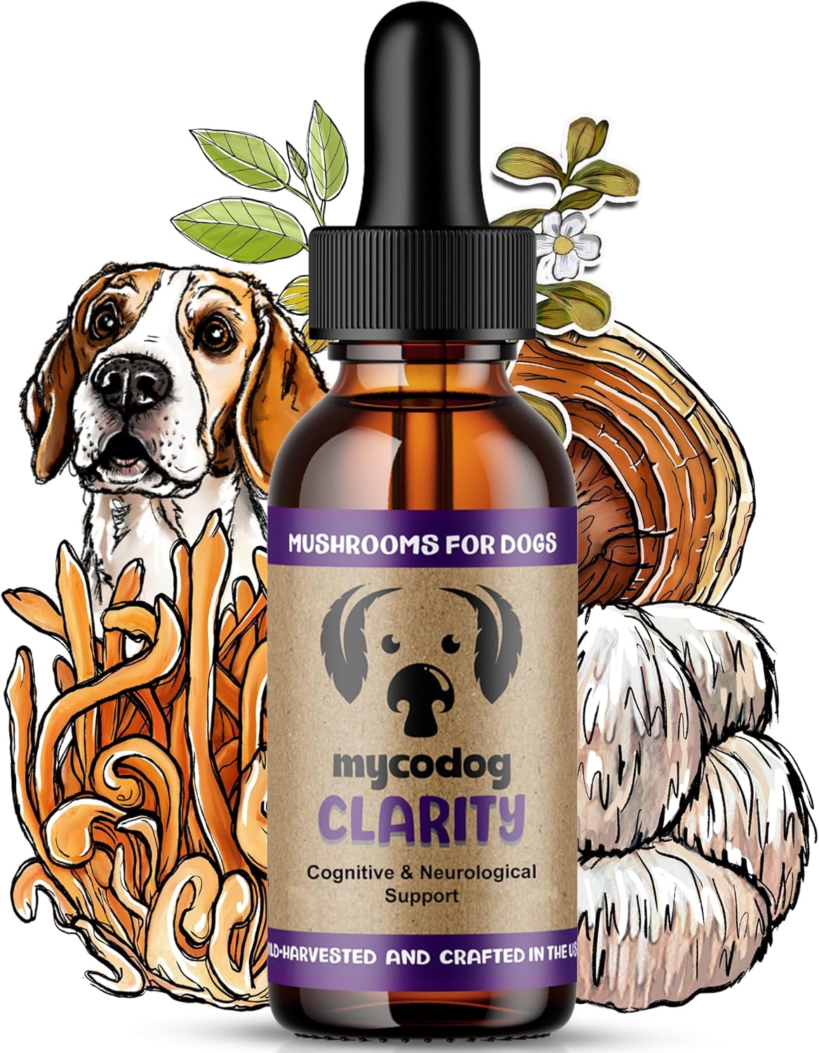 MycoDog Clarity - Cognitive Support Mushroom Supplement for Dogs - Brain Health, Memory & Focus Support with Adaptogens for Aging Dogs