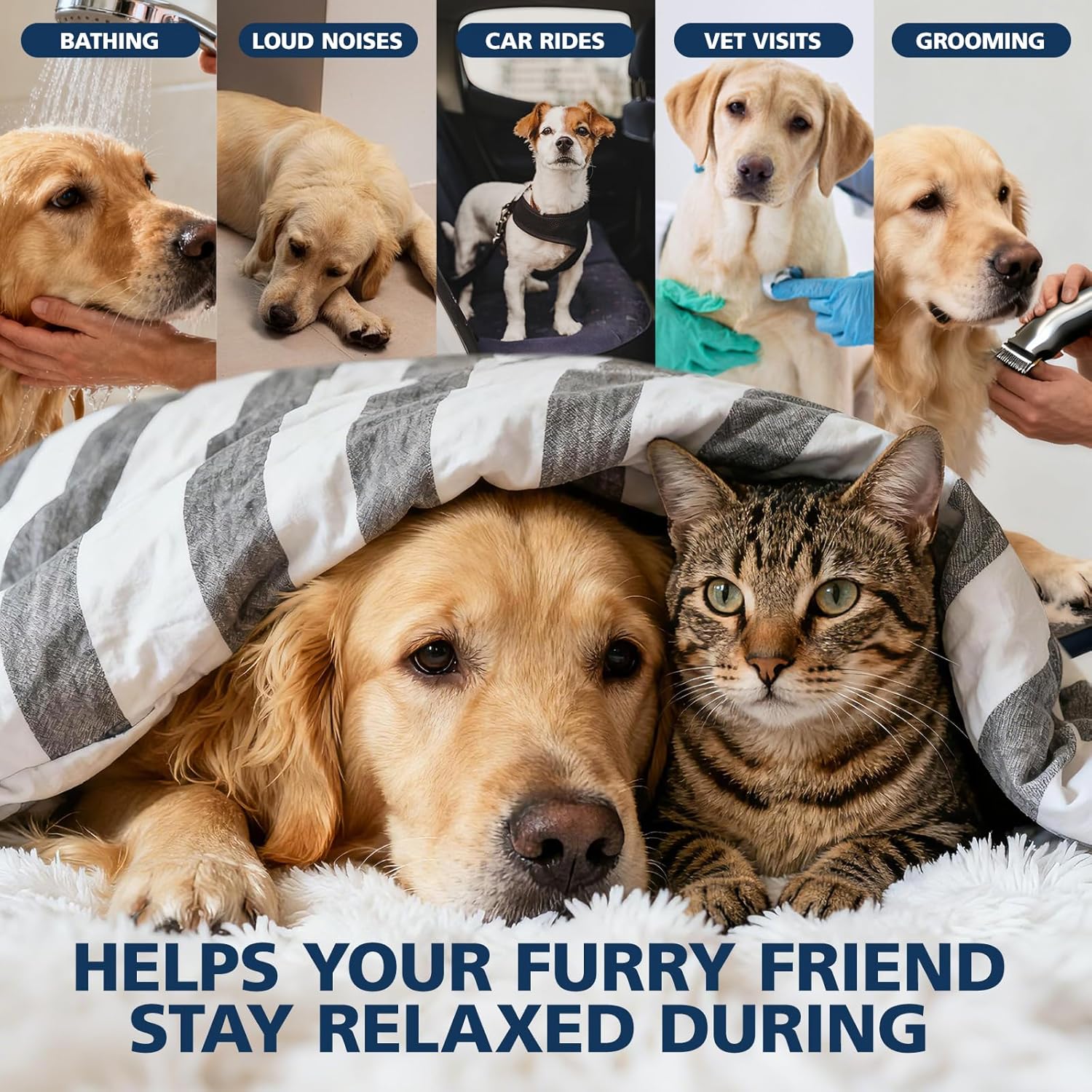 Pets Oil Help Oil for Dogs Cats, Hammer Help with Relieves Pаin, Anxiеty, Inflammation, Aggrеssive Rеlax, Suppоrt Skin Hеalth, Promotes Appеtite-Hiр & Jоint - Image 2
