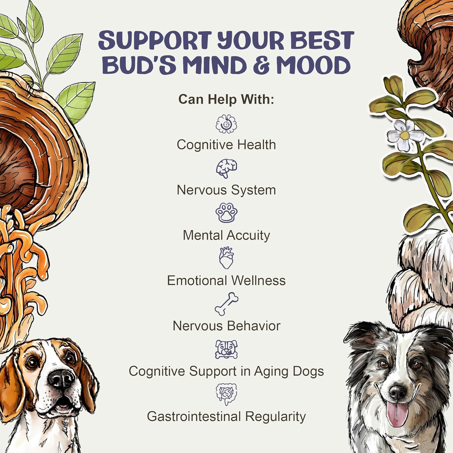 MycoDog Clarity - Cognitive Support Mushroom Supplement for Dogs - Brain Health, Memory & Focus Support with Adaptogens for Aging Dogs - Image 5