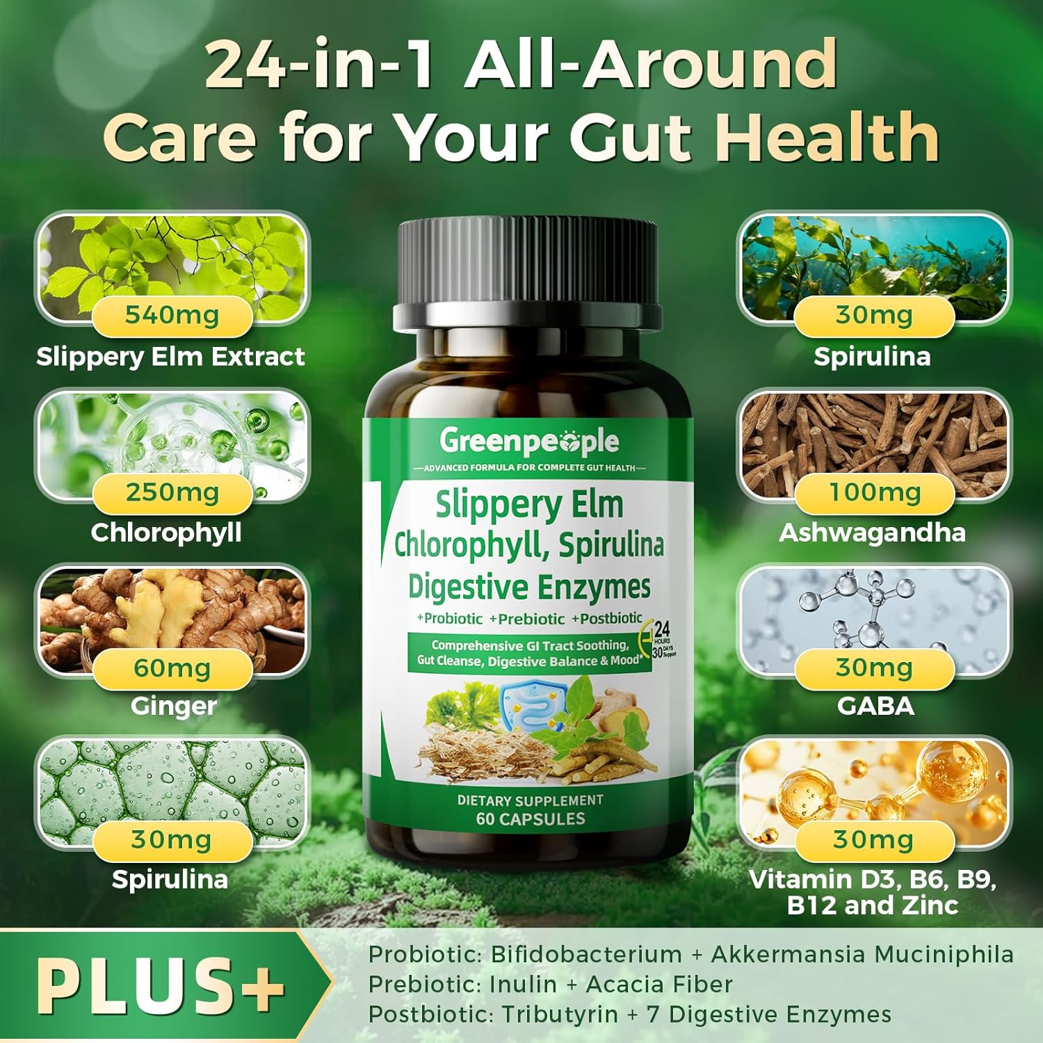 GREENPEOPLE Digestive Enzymes for Women & Men - Gentle Gut Health & Cleanse Capsule with Slippery Elm, Chlorophyll, Spirulina, Probiotics Complex - Complete Sensitive Gut Supplement 60 Count 2 Packs - Image 4