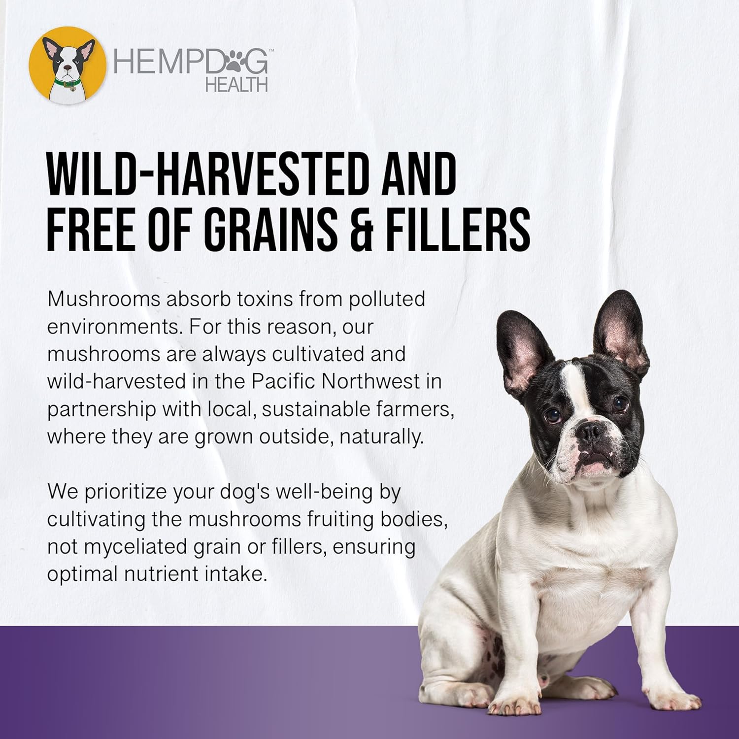 MycoDog Clarity - Cognitive Support Supplement for Dogs - Brain Health, & Senior Dog Wellness - Memory & Focus with Functional Mushrooms & Adaptogens - Image 6