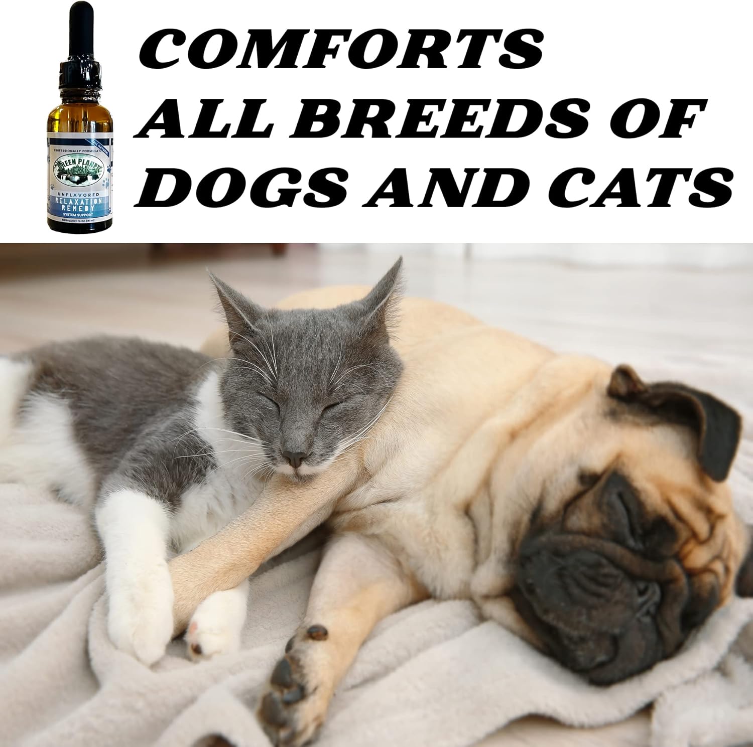 Green Planet Hemp | Free Toy | 1000MG Organic Tincture | Pet Hemp Oil for Dogs and Cats | 100% Natural and Non GMO | Offers your Pet Hip, Joint, and Muscle Support | Aids with Anxiety,Stress, and Pain - Image 2