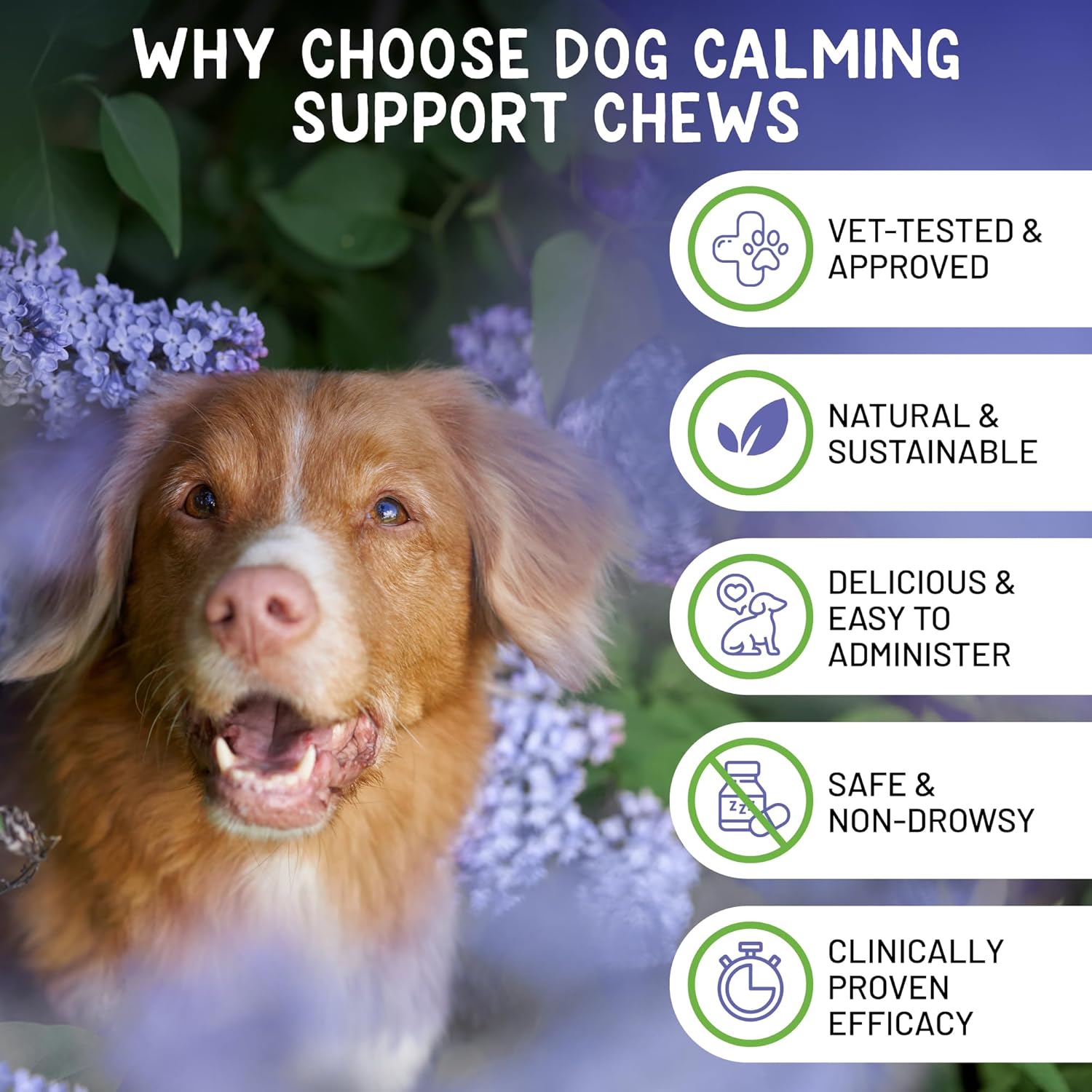 Brave Paws Calming Chews for Dogs - Plant-Based Dog Calming Chews for Anxiety Relief Support with Souroubea - Helps with Dog Separation Anxiety, Stress, Travel & Loud Noises (Fireworks, Thunder) - Image 6