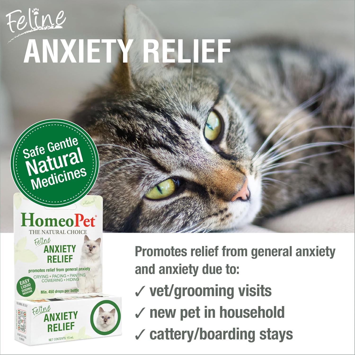 HomeoPet Feline Anxiety Relief, Safe and Natural Pet Stress and Anxiety Support Supplement for Cats, 15 Milliliters - Image 2