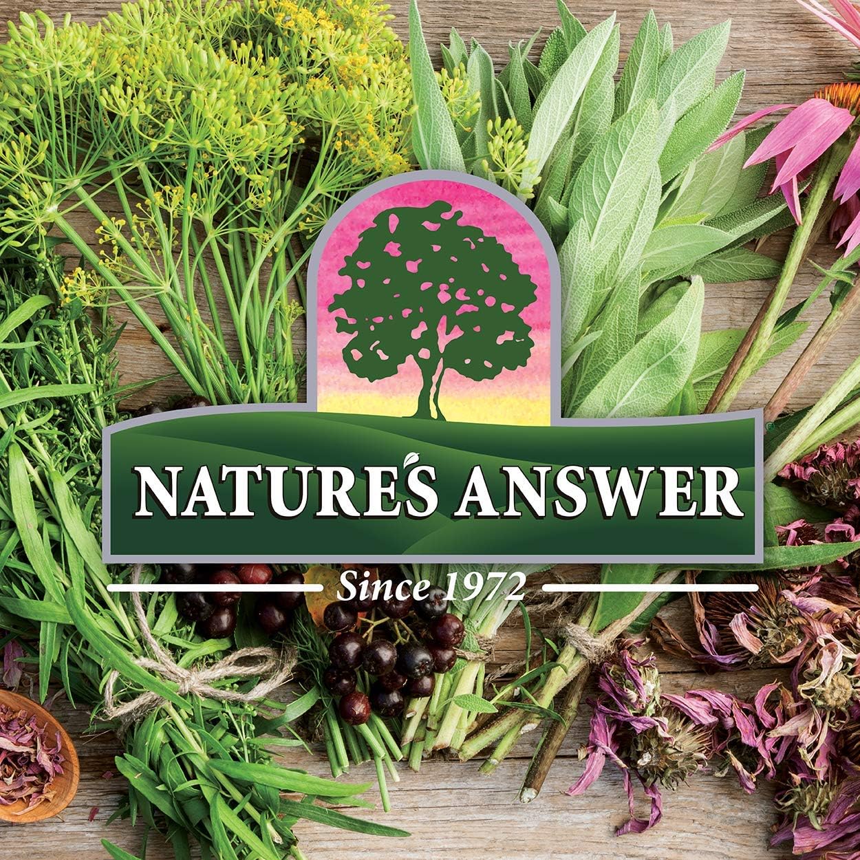 Nature's Answer Valerian Root 2 Ounce Extract - Alcohol-Free, Gluten Free, Kosher, Non-GMO, Made in USA - Calming & Relaxation Support - Valerian Root for Sleep, Rest Aid - Image 5