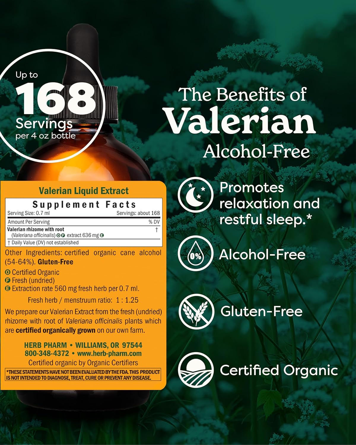 Herb Pharm Valerian Alcohol-Free Extract: Organic Liquid Glycerite for Sleep & Relaxation, Calming Nighttime Sleep Support Supplement for Adults, Sugar-Free, Up to 24 Week Supply, 4 oz - Image 2