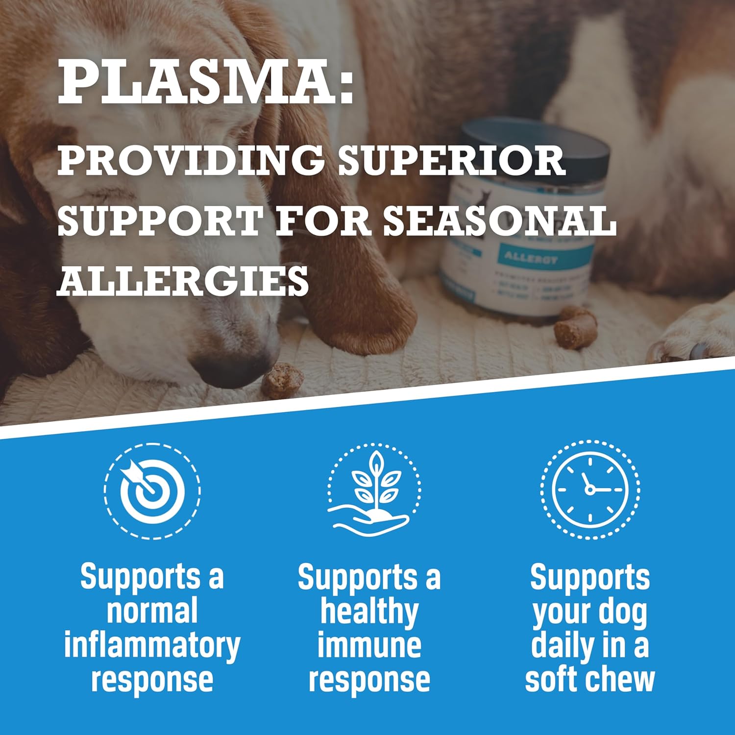 WINPRO Allergy Chews – Plasma-Powered Formula for Dog Seasonal Allergy Support – Grain-Free, Natural Blood Protein Supplements – 60 Soft Chews - Image 7
