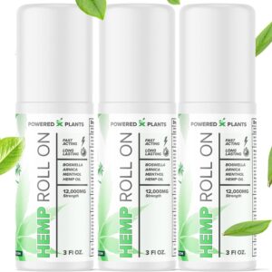 Hemp Oil Roll On - Menthol Rub with Boswellia & Arnica - 12,000mg Extra Strength Oil for Muscle Discomfort Pack of 3, 3 fl.oz.