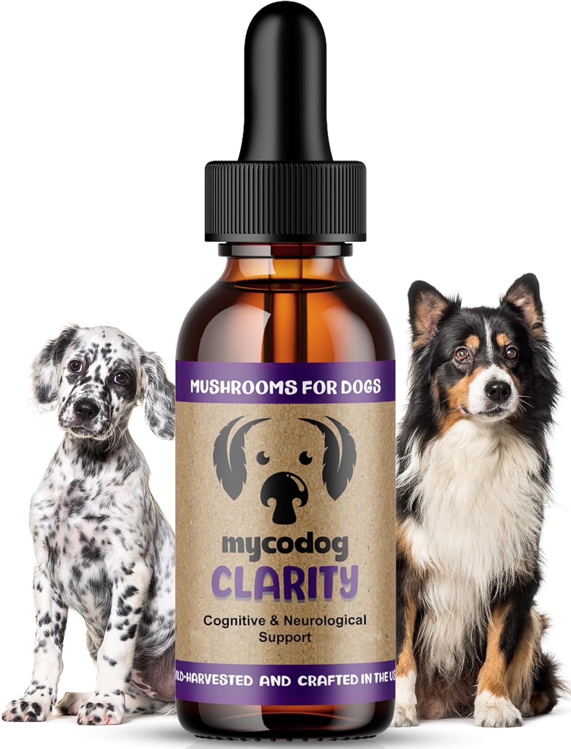 MycoDog Clarity - Cognitive Support Supplement for Dogs - Brain Health, & Senior Dog Wellness - Memory & Focus with Functional Mushrooms & Adaptogens