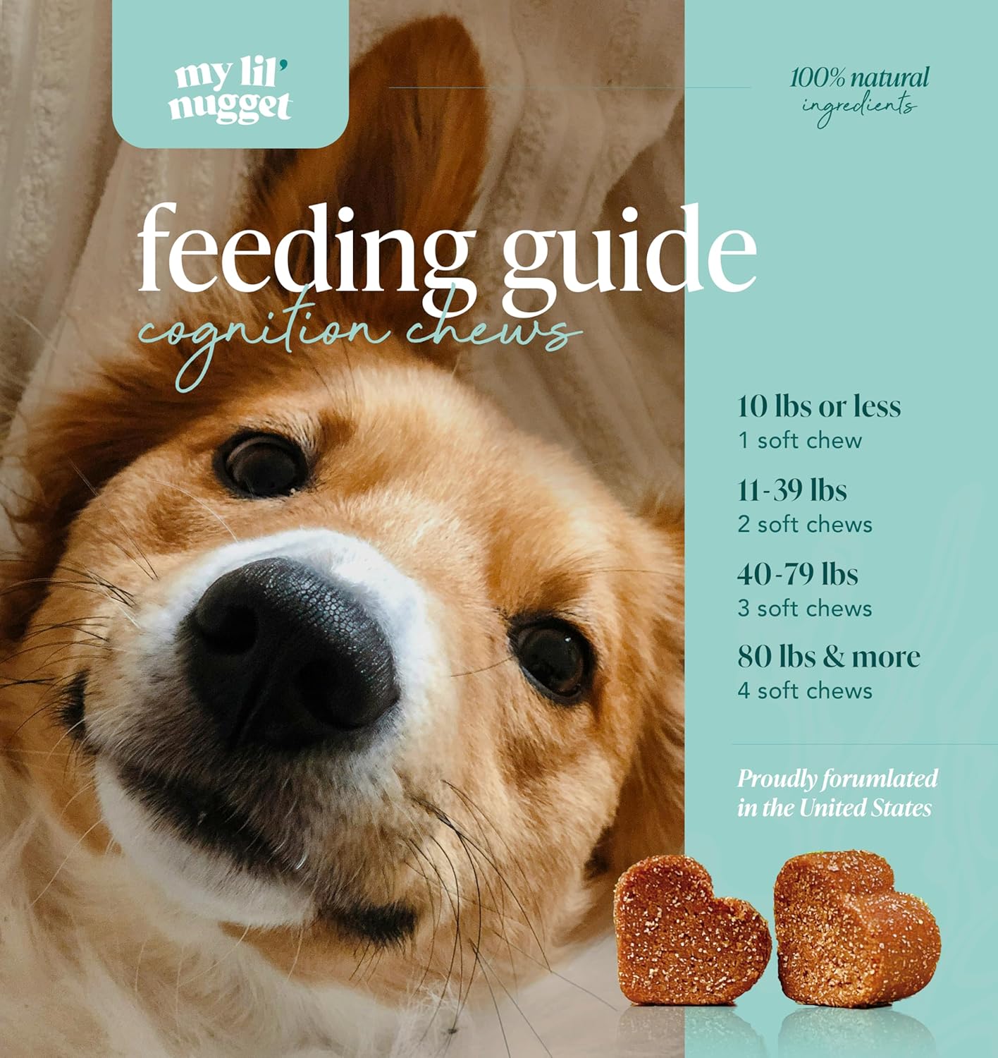 My Lil’ Nugget - Vet-Approved Mood & Cognition Chews for Dogs | All-Natural Dog Mental Health Support & Improve Memory | Lion’s Mane & Ashwagandha | Helps Puppy to Senior Dogs | 90 Salmon Flavor Chews - Image 5