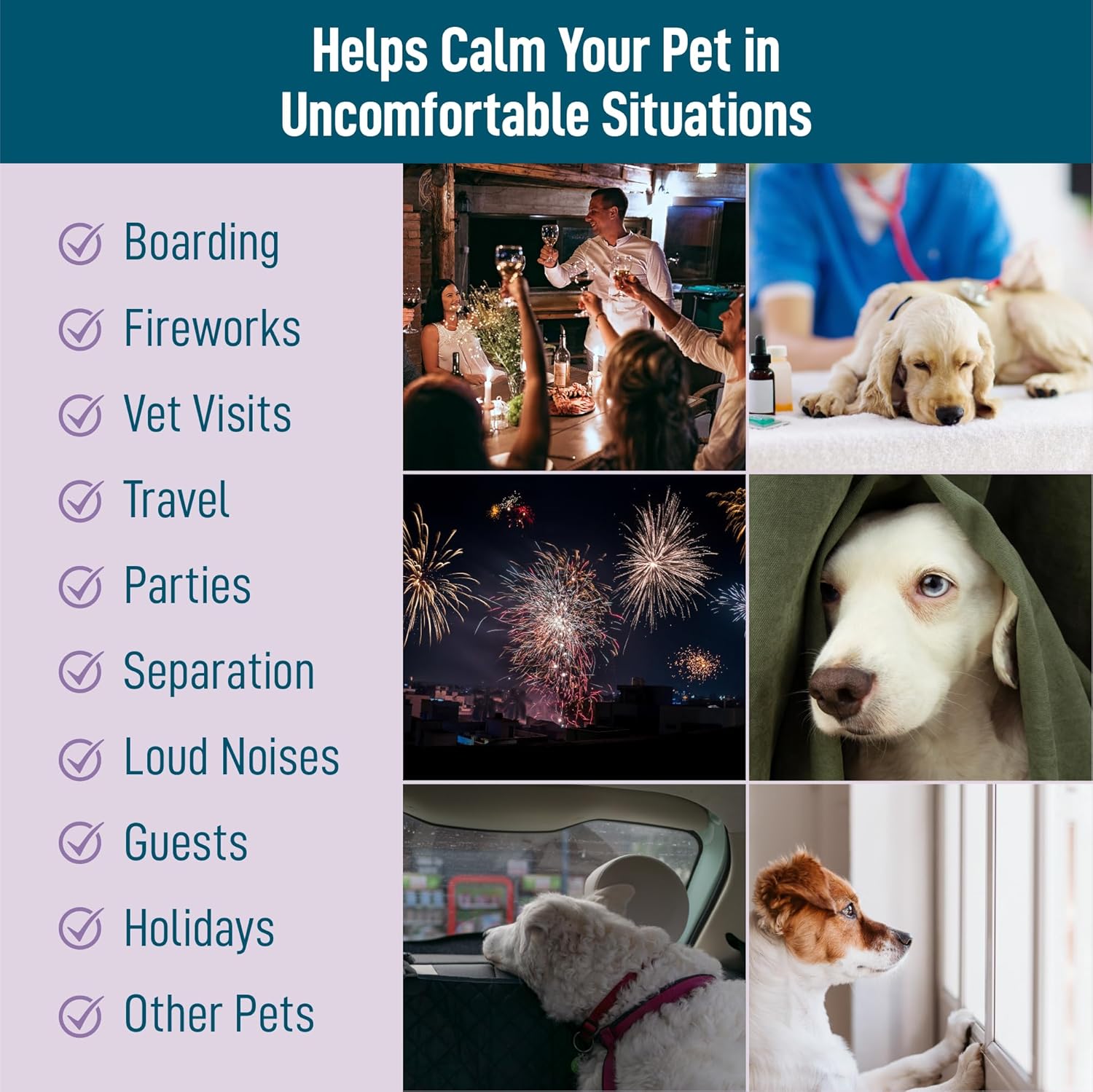 Calming Chews Treats for Dogs with melatonin for Dogs to Provide Calming, Stress and Dog Anxiety Relief. 90 Bacon-Flavored Soft Chews - Image 4