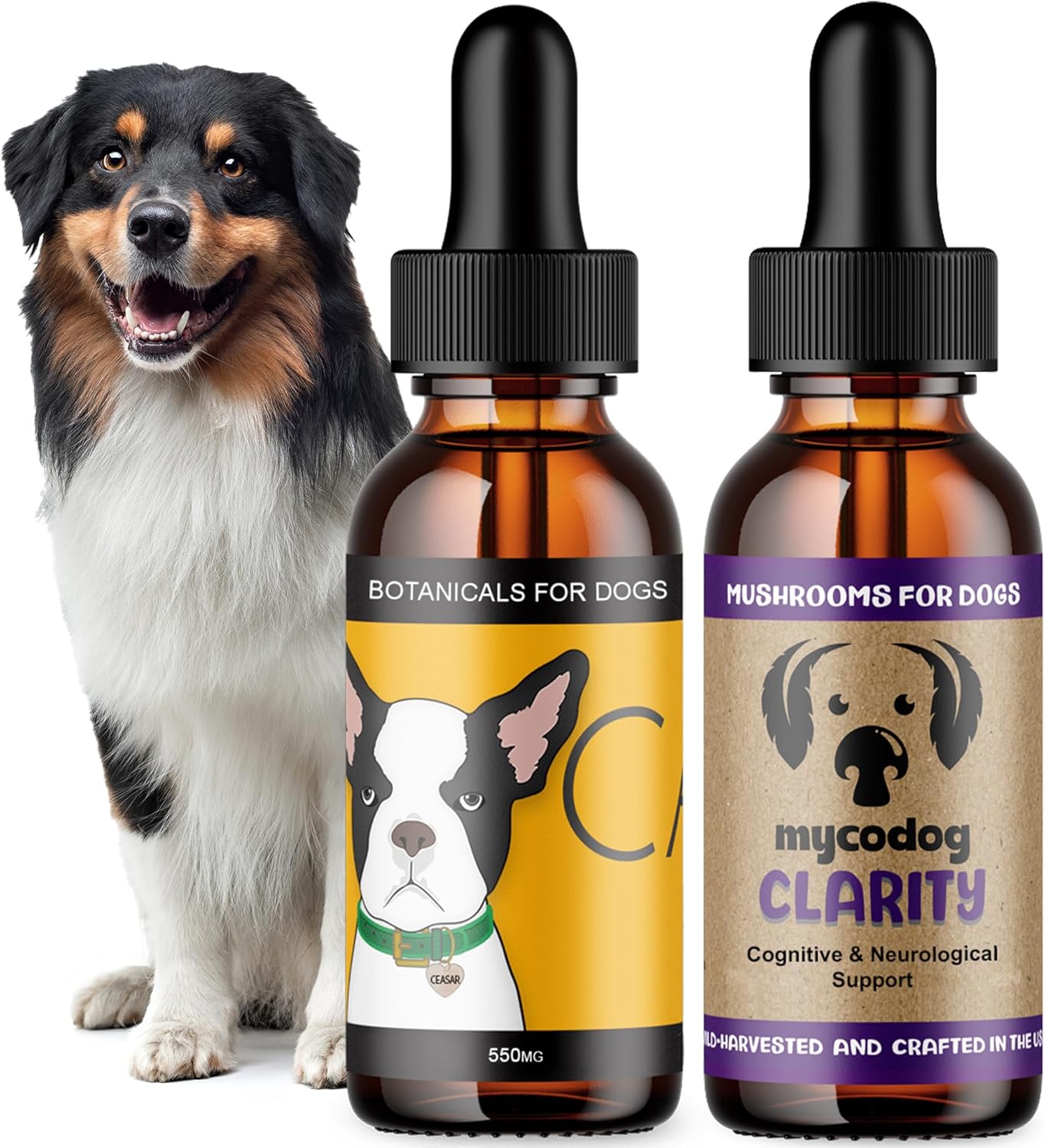 Calm & Clarity Cognitive Support Bundle: Calm Hemp Oil for Dogs (Dog Calming Drops) | MycoDog Clarity Mushroom Extract & Adaptogen Tincture for Emotional, and Mental Wellness