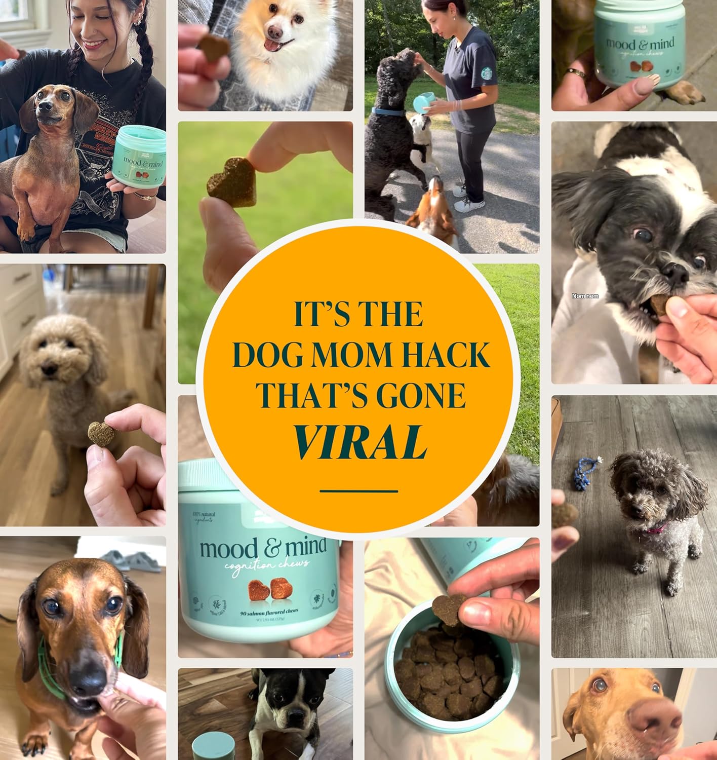 My Lil’ Nugget - Vet-Approved Mood & Cognition Chews for Dogs | All-Natural Dog Mental Health Support & Improve Memory | Lion’s Mane & Ashwagandha | Helps Puppy to Senior Dogs | 90 Salmon Flavor Chews - Image 2