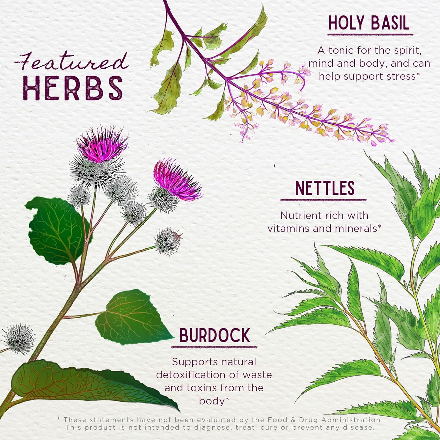 WishGarden Herbs Cycle Changes Herbal Menopause Support - Plant-Based Supplement w/Black Cohosh, Wild Yam & Vitex Supports Hormone Balance for Women in Transition from Perimenopause to Menopause, 2oz - Image 4