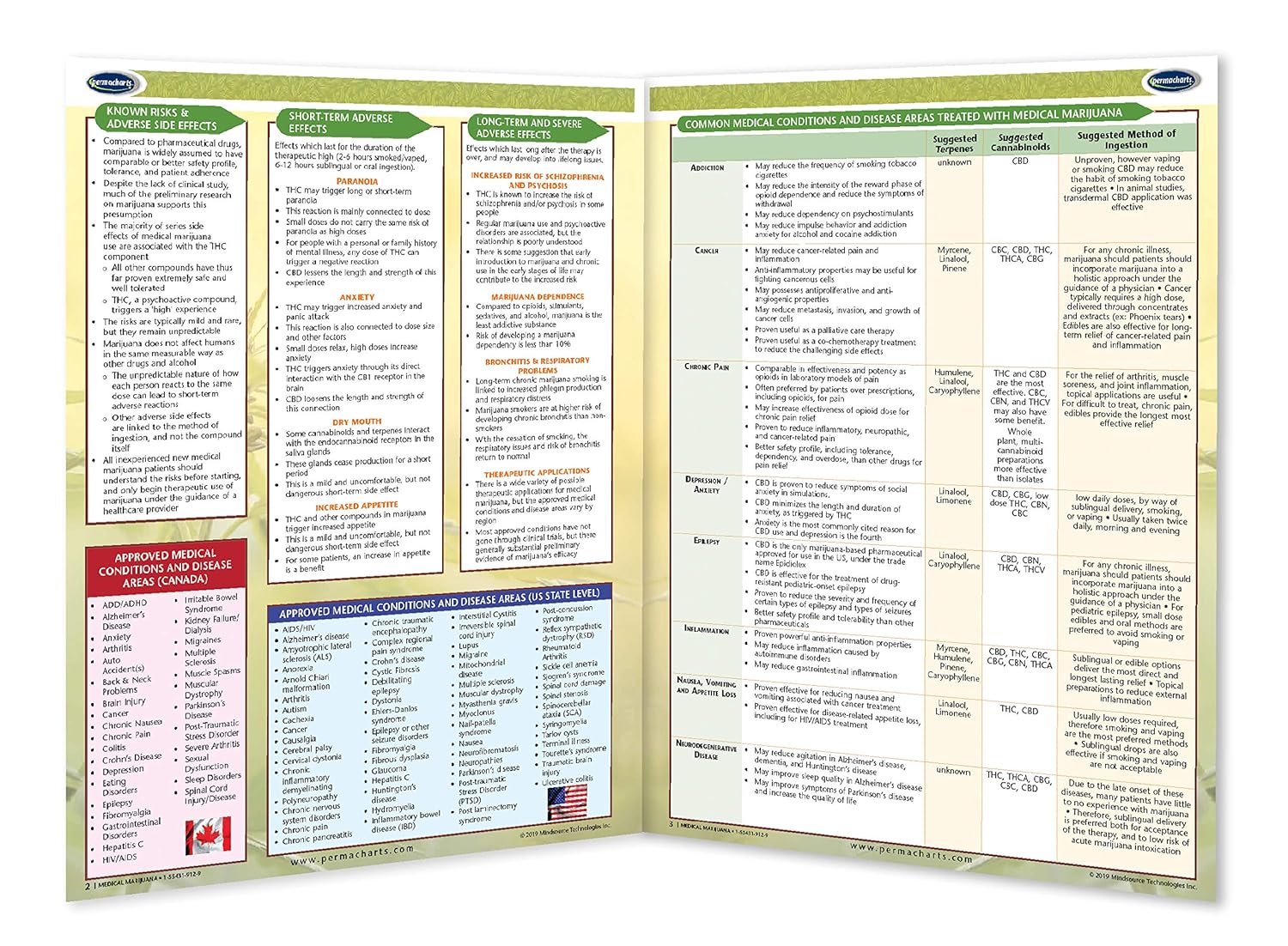 Medical Cannabinoids - CBD 101 Quick Reference Guide - Educational Series by Permacharts - Image 2
