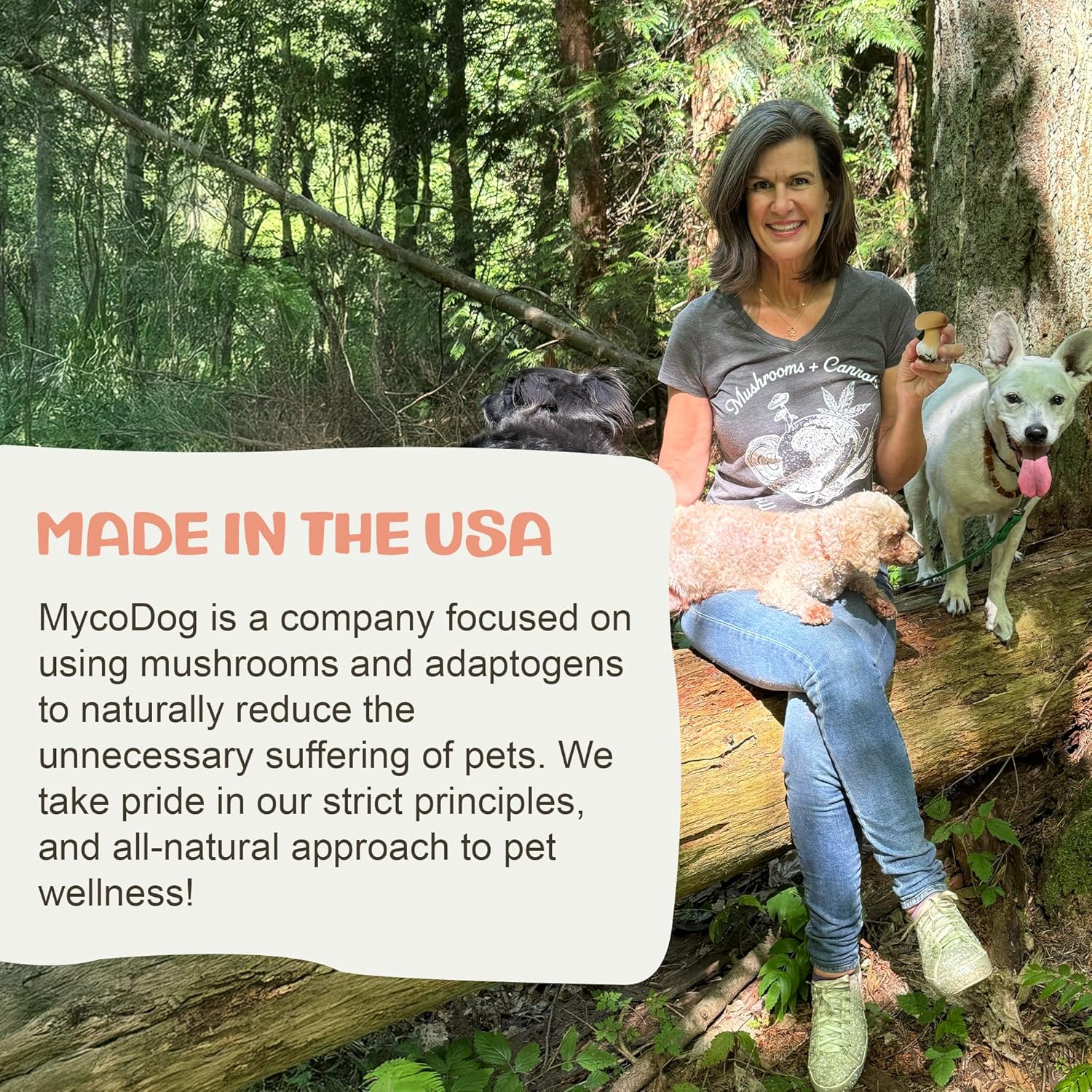 MycoDog Lions Mane Mushroom Supplement for Dogs - Cognitive & Brain Health - Lions Mane for Dogs - Senior Dog Wellness Drops - Image 8
