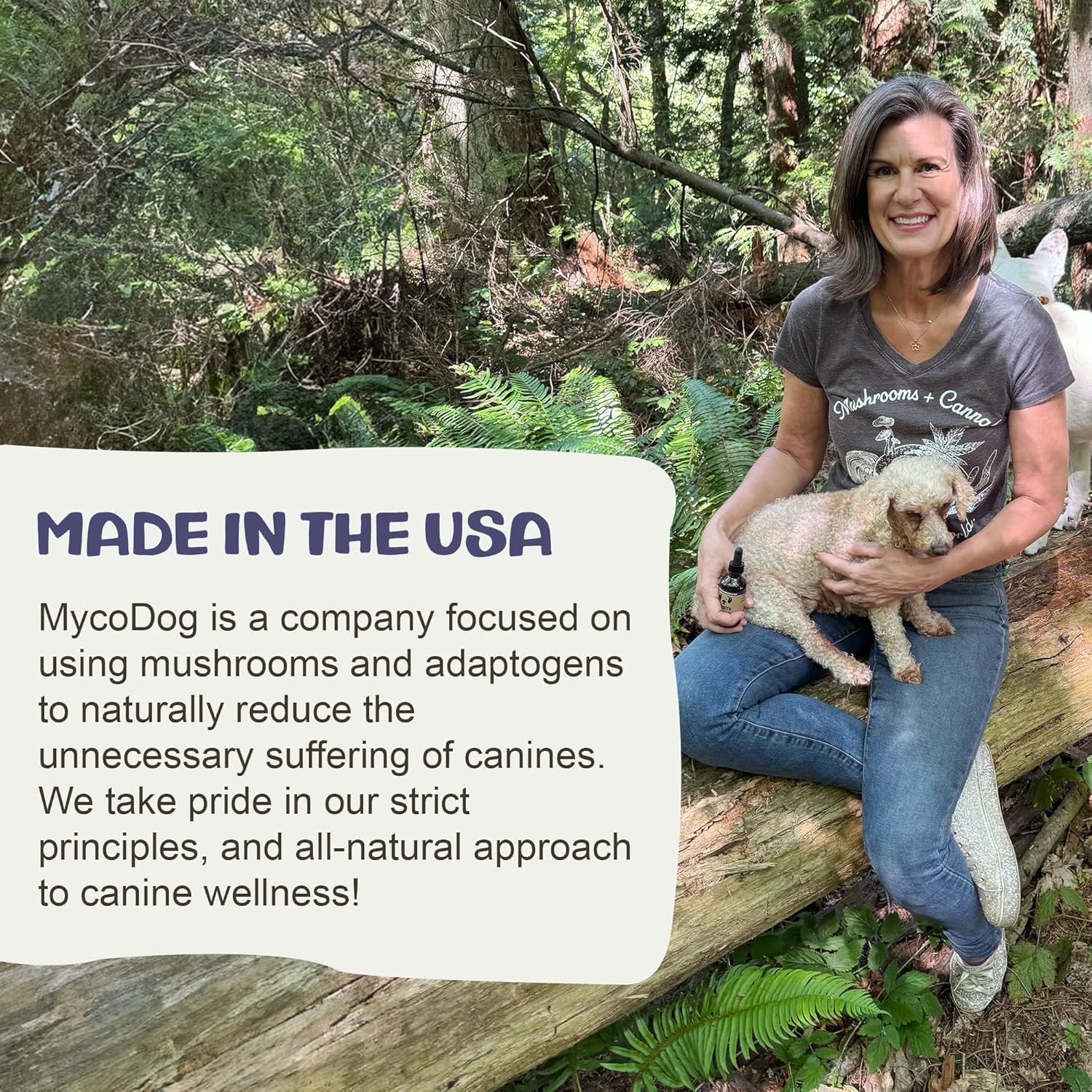MycoDog Clarity - Cognitive Support Mushroom Supplement for Dogs - Brain Health, Memory & Focus Support with Adaptogens for Aging Dogs - Image 8