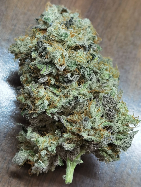 Why Real Sativas Refuse to Rush – Cannabis & Tech Today