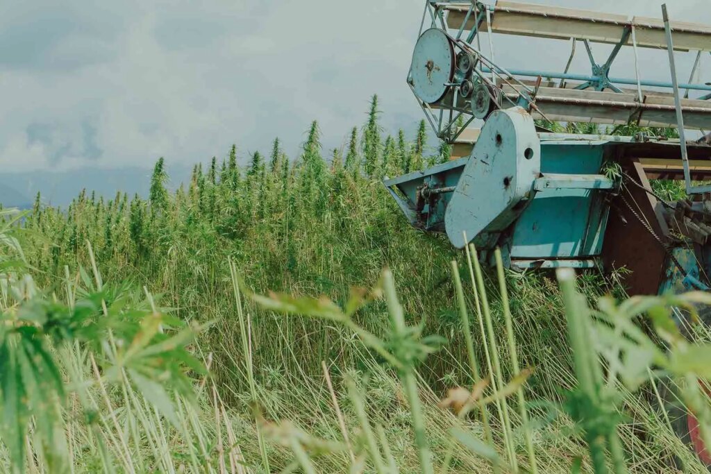Could a new CBD plastic fix our pollution problems?